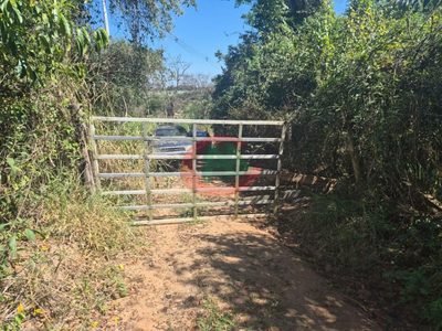 Terreno, 2 hectares - Foto 2