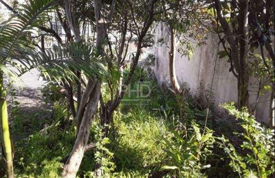 Terreno, 300 m² - Foto 3