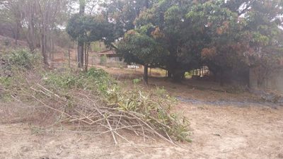 Terreno, 2000 m² - Foto 4