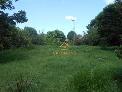 Sítio, 4 hectares - Foto 2