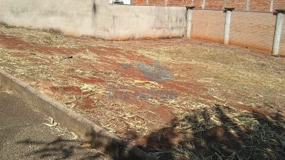 Terreno, 300 m² - Foto 4