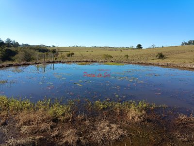 Sítio, 3 quartos, 7 hectares - Foto 5