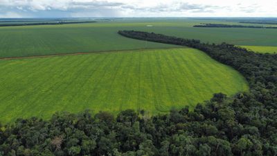 Fazenda, 672 hectares - Foto 2