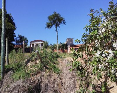 Terreno, 1000 m² - Foto 5