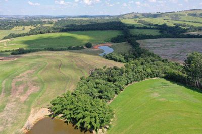 Fazenda, 206 hectares - Foto 2