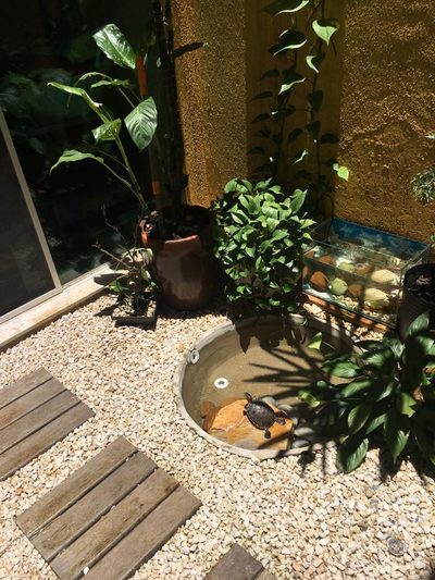 Casa - Foto 3