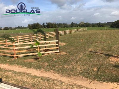 Terreno, 1000 m² - Foto 4