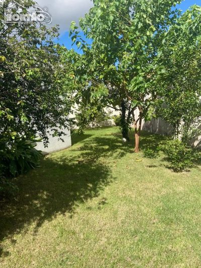 Casa, 5 quartos, 325 m² - Foto 5