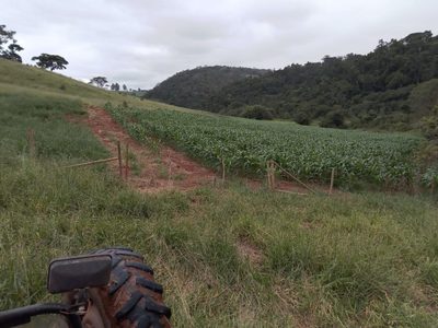 Fazenda, 130 hectares - Foto 3