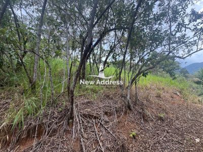 Terreno, 3000 m² - Foto 5