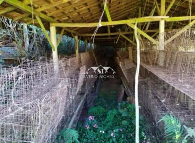 Fazenda, 2 hectares - Foto 4