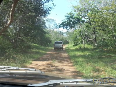 Fazenda, 176000 hectares - Foto 3