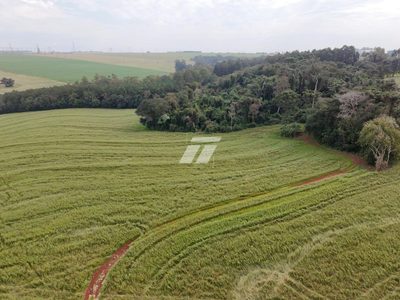 Sítio, 2500 hectares - Foto 4