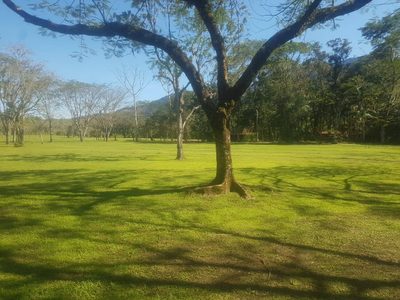 Terreno, 4 hectares - Foto 4