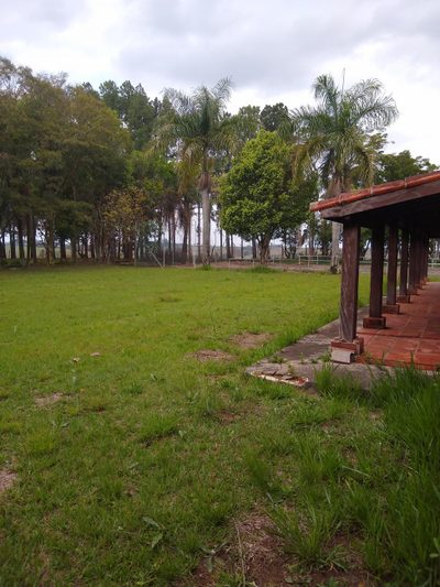 Terreno, 5 hectares - Foto 1