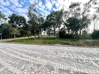 Terreno, 585 m² - Foto 1