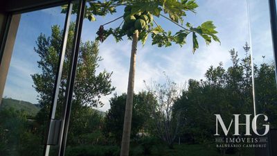 Chácara, 1 quarto, 3500 m² - Foto 3