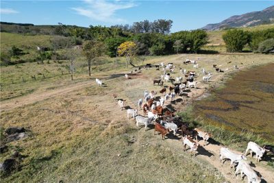 Fazenda, 10 quartos - Foto 2