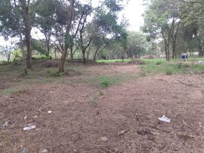 Chácara, 1 quarto - Foto 5