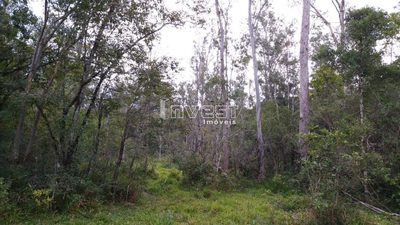 Chácara, 7 hectares - Foto 4