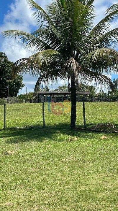 Fazenda - Foto 5
