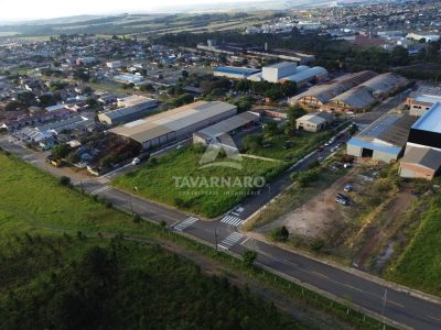 Terreno, 3000 m² - Foto 5