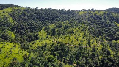 Terreno, 2 hectares - Foto 2