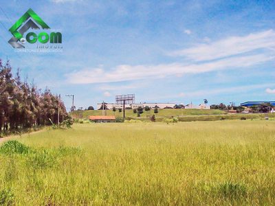 Terreno, 11 hectares - Foto 1
