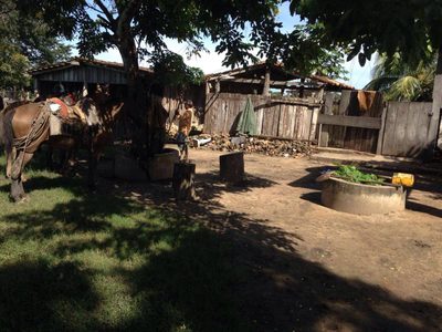 Fazenda, 342 hectares - Foto 3