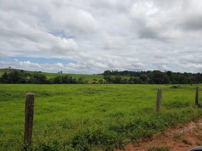 Fazenda - Foto 3