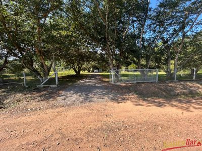 Chácara, 3 quartos, 7500 m² - Foto 1