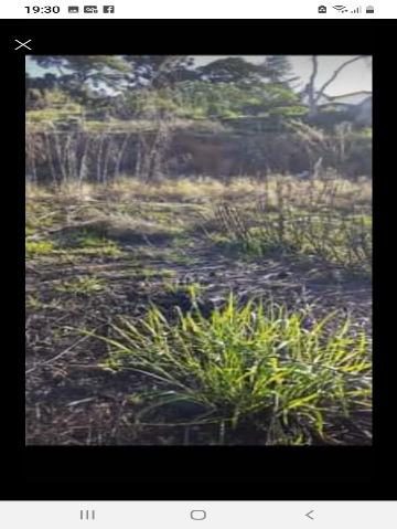 Terreno, 1232 m² - Foto 3