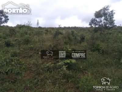 Casa, 1800 m² - Foto 5