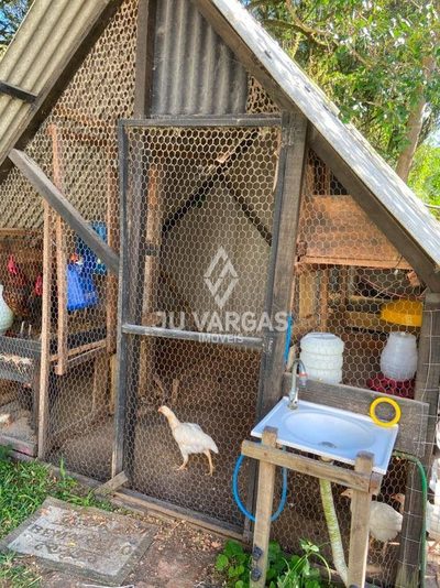 Sítio, 4 quartos, 4 m² - Foto 4