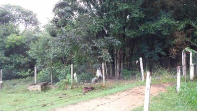 Sítio, 2 quartos, 2 hectares - Foto 2