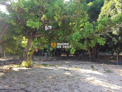 Terreno, 3 hectares - Foto 4