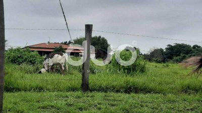 Sítio, 3 quartos, 2 hectares - Foto 3