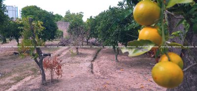 Terreno, 560 m² - Foto 5