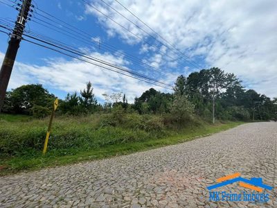 Terreno, 4973 m² - Foto 5