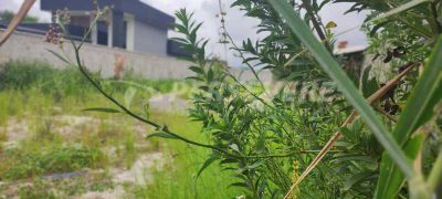 Terreno, 480 m² - Foto 5