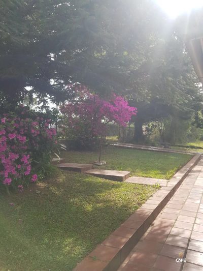 Casa, 3 quartos, 100 m² - Foto 3