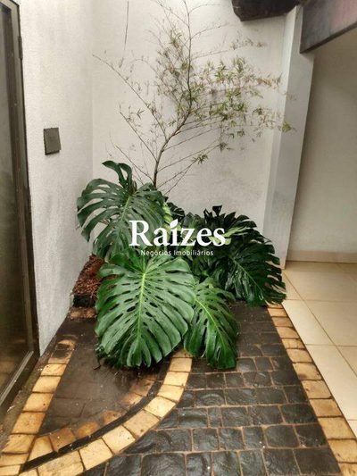 Casa, 3 quartos, 210 m² - Foto 5