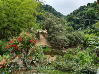 Sítio, 3 quartos, 19 hectares - Foto 1