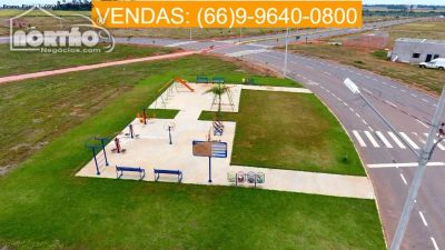 Terreno - Foto 4