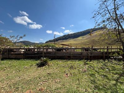 Fazenda, 1 quarto - Foto 4