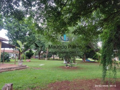 Terreno, 3 hectares - Foto 3