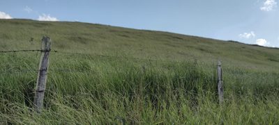 Fazenda, 73 hectares - Foto 1