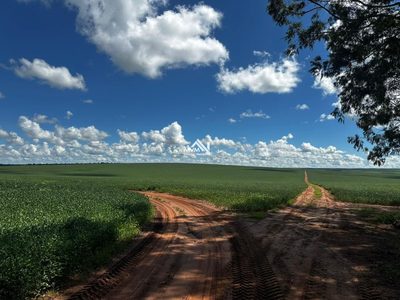 Fazenda, 1179 hectares - Foto 2