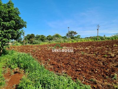 Chácara, 4000 m² - Foto 3