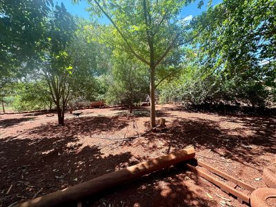Chácara, 2 quartos, 4 hectares - Foto 4